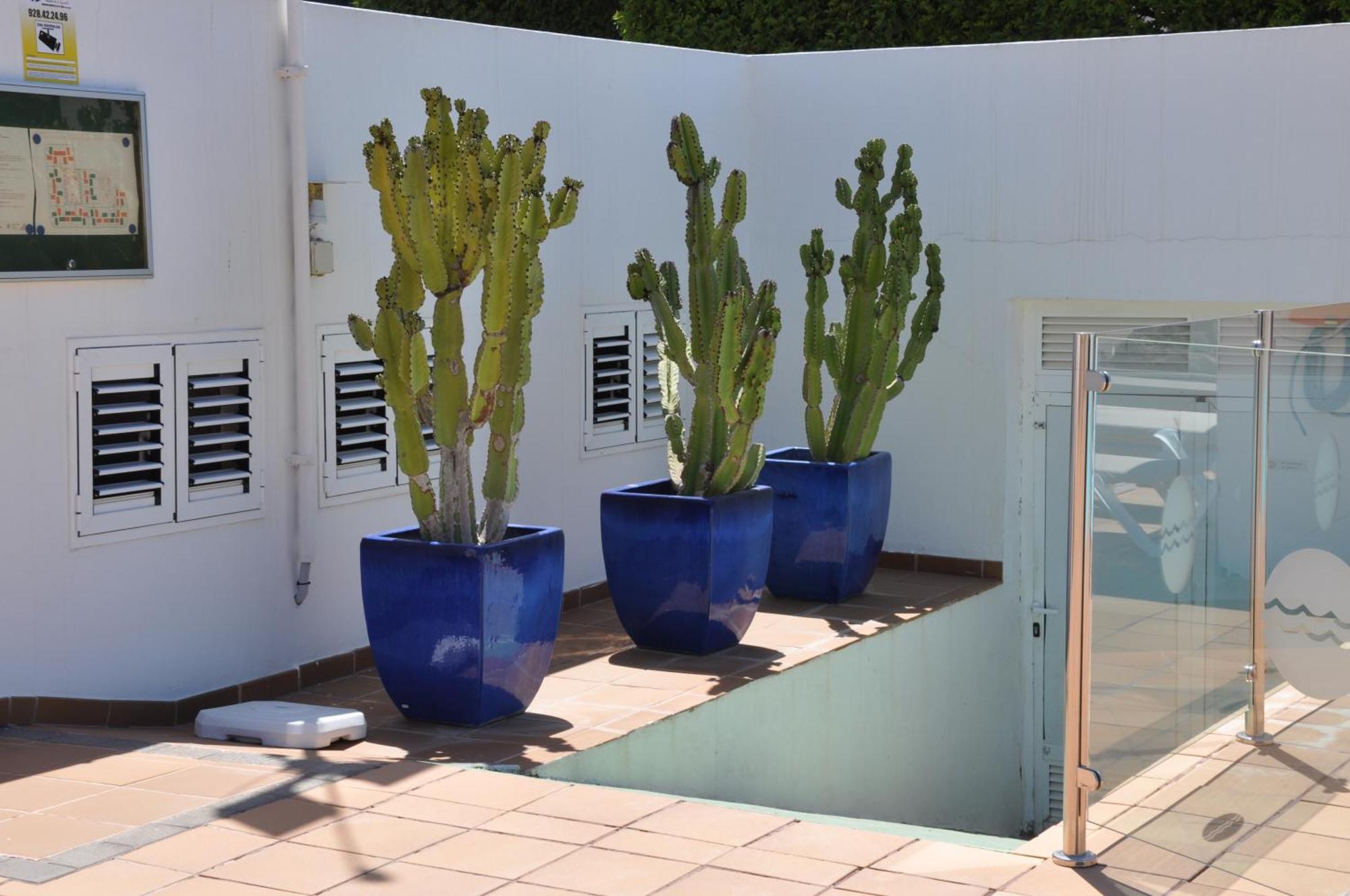 Serenity Garden Maspalomas (Gran Canaria) Exterior foto