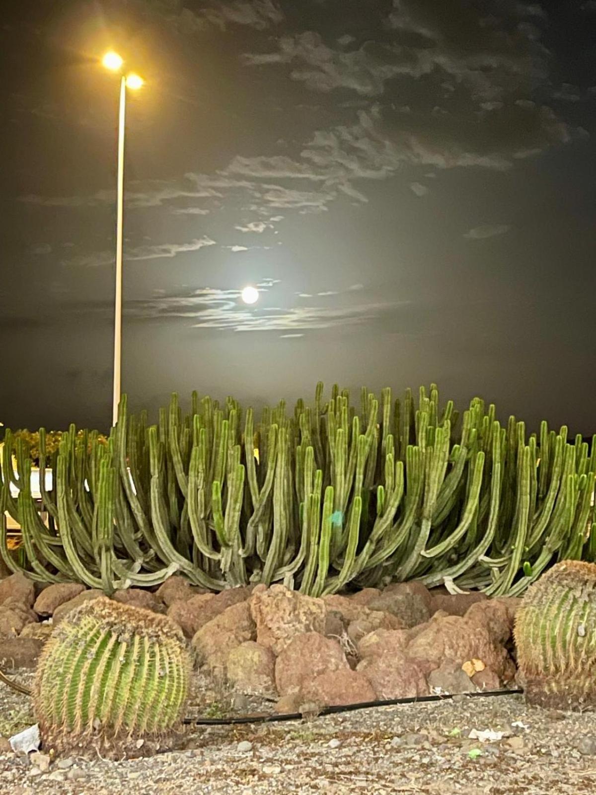 Serenity Garden Maspalomas (Gran Canaria) Exterior foto