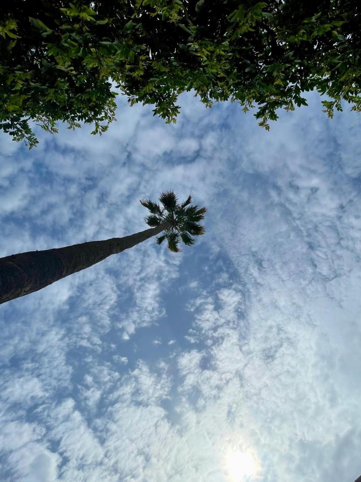 Serenity Garden Maspalomas (Gran Canaria) Exterior foto